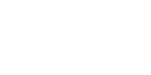dummy-logo-4